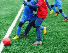 影视明星卡,威廉姆斯逝,享寿,FB体育平台,FB体育官方网站,FB体育登录入口,FB体育app下载