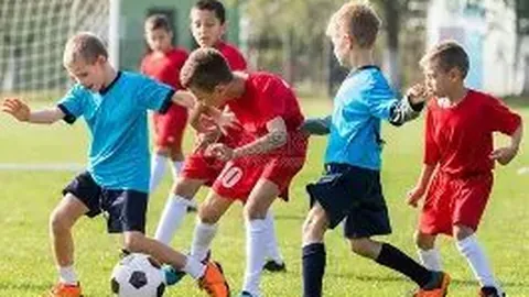 2025年毕业设计：基于Django、Vue和PostgreSQL的足球数据分析可视化系统，含源码、数据库、论文及部署指南