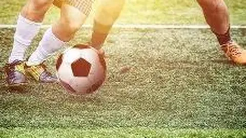 FB体育 资讯 091950 z5q