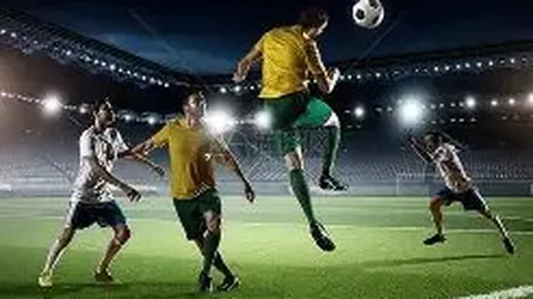 FB体育 产品 091839 66e