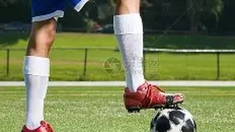 FB体育 资讯 085625 aqt